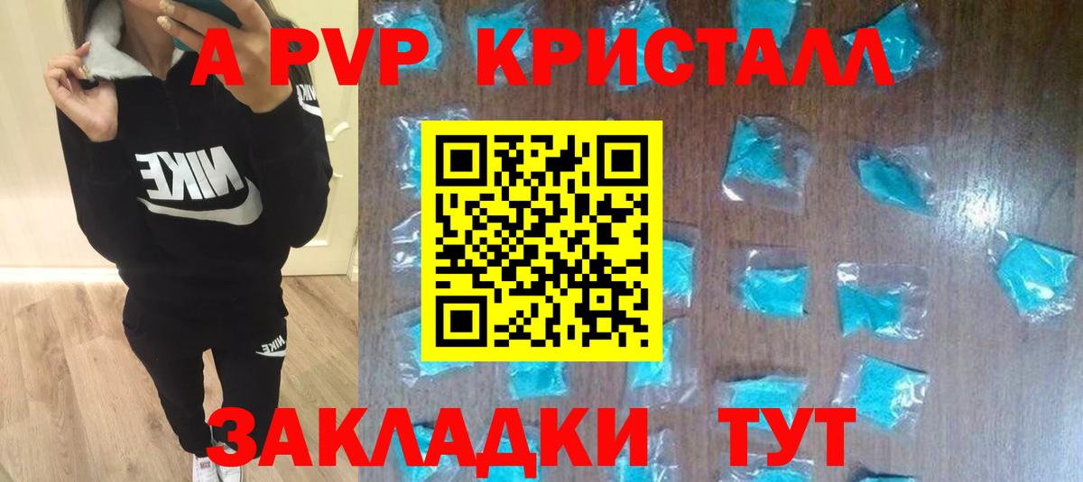 Alpha PVP СК КРИС Курчалой