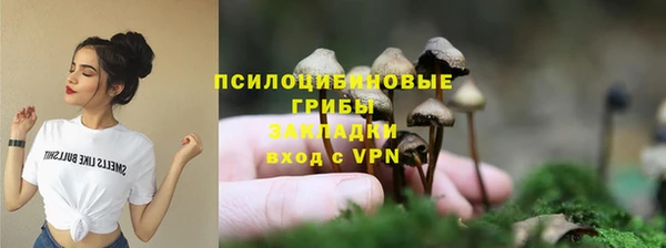 a pvp Алексин