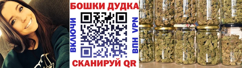 hydra маркетплейс купить закладку Курчалой Шишки марихуана Amnesia